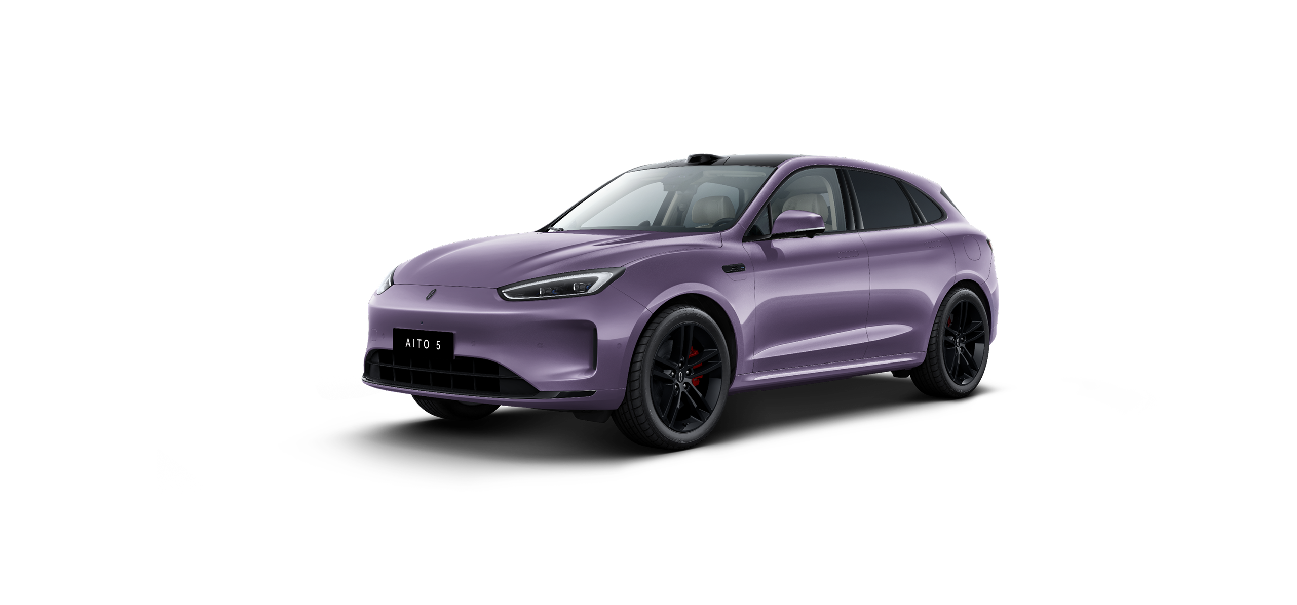 Twilight Purple