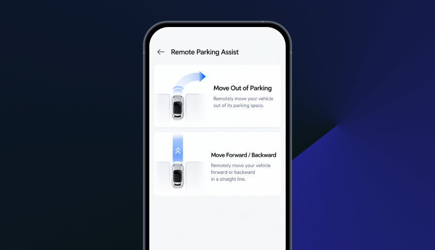 Remote Parking Assist